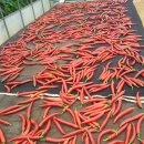 복사골농장 이미지