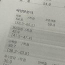 피그맘 네이버블로그