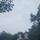 영운 상93호(비16) | 파주 용미리 마애불입상