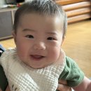 2026년 4월 두번째일상
