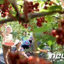 거창-가북-1 이미지