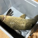 죠스실내낚시터 이미지