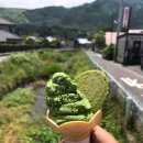 걷기의 미학과 도시 | [일본 여행] 유후인 온천마을 : 부모님과 함께 걷기 좋은 유노츠보 거리