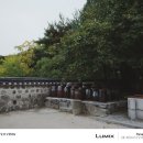 [서울숲 배움터] 스마트폰으로 사진작가 되기（출사&보정） | 시그마 28-105mm F2.8 DG DN | Art 간단 후기 feat. 세기몰