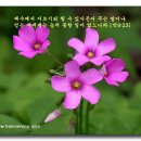 믿음 - 세종특별자치시 보통1길 124 | 믿음