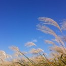 꿈꾸는한옥 이미지