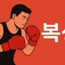 MMASTORY 복싱과 주짓수 이미지