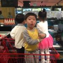 다보마트 이미지