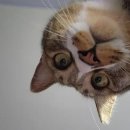 이앤오신경과의원 | 내가 뇌전증이라고?