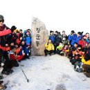 꿈꾸러기 이미지