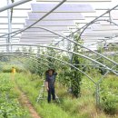 김준배농장 이미지