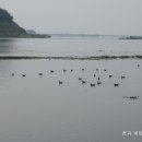 진월정 옆 이미지