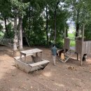 나무고아원A 이미지