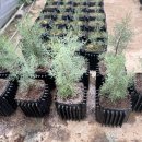 영한목장 이미지