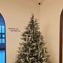 새벽요가(화,목) | 갈매요가 새벽 하타요가 후기 별내요가 추천 요가, 바라봄