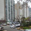 책나무그늘도서관 이미지