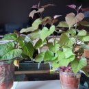 홍가정의학과의원 이미지