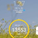 영동세이프티 | 영동 군골프장 남성대 체력 단련장 南城臺, feat 전원가든 콩국수