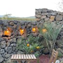 스테이바움 이미지