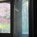 스윗바디 이미지