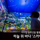 아트솔루션