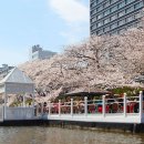 도쿄마츠리 이미지