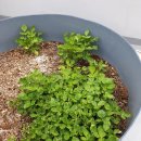 김재연한의원 이미지