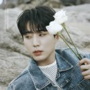 영 이미지