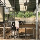 마루터목장 이미지