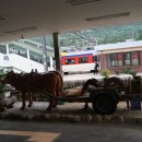 청도추어탕 이미지