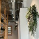 피플스(PEOPLES) | 대구 동성로 교동 신상카페 도심 속 작은 공원 피플스커피