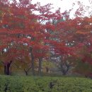 중앙공원(자전거교실) 이미지