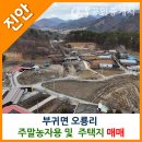 참신한공인중개사사무소 이미지