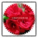 가정1-02-053 이미지