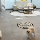 오하뷰티스튜디오