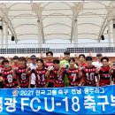 영광FC 네이버블로그