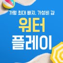 가평 빠지 내돈내산 후기 애견동반 즐겁게 놀다왔어요