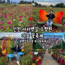 경인아라뱃길 | [인천] &#39;경인 아라뱃길 수향원&#39; 인천 가을꽃축제, 계양 아라뱃길 꽃축제, 서울 근교 가을 축제