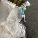 댕댕아리 | 강아지배변봉투 추천 ㅣ 아키즈 배변봉투 반려동물 산책 필수 똥봉투