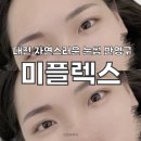 대전 눈썹 잘하는 뷰티샵 미플렉스 눈썹 후기