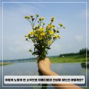 오늘꽃배달