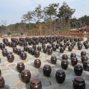 단감테마공원 이미지