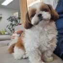 신현리보석공방
