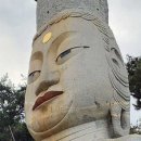 소나무부분정비 이미지