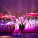 한국무용도라지 이미지