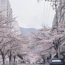 가고싶은안마원 이미지