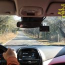 파미유리조트 가족호텔 네이버블로그