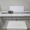 피아노와 반주(야간) 기초반 | 야마하피아노 p225 디지털피아노 추천 후기 최저가