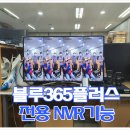 블루365