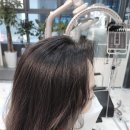 제이브라운 이미지